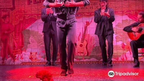 Flamenco de Leones