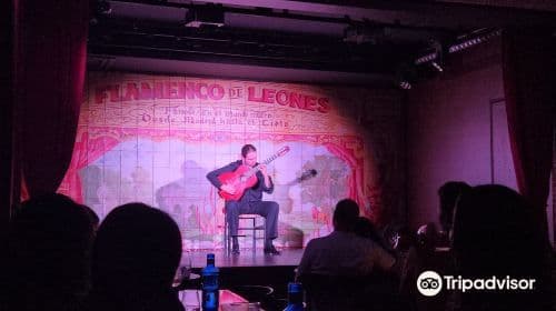 Flamenco de Leones
