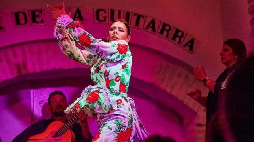 Sevilla: Ticket voor een flamencoshow in La Casa de la Guitarra