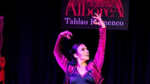 Granada: Flamenco Class with the Cast of Tablao La Alboreá Day Tours