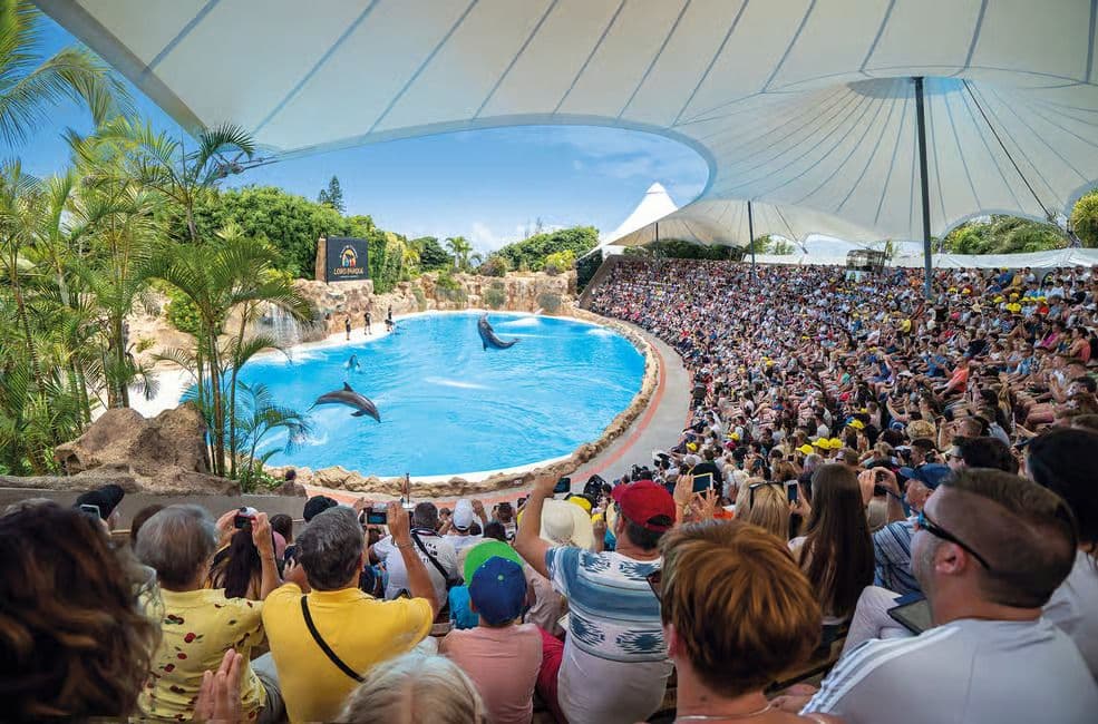 Gecombineerde toegang tot Loro Parque en Siam Park