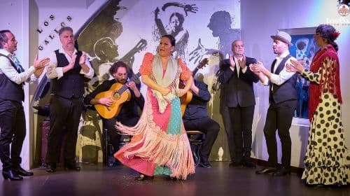 Sevilla: Flamencoshow in Tablao Los Gallos Dagtochten