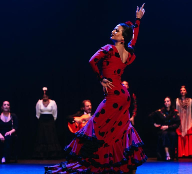 Seville: Live Flamenco Dancing Show Ticket at the Theater