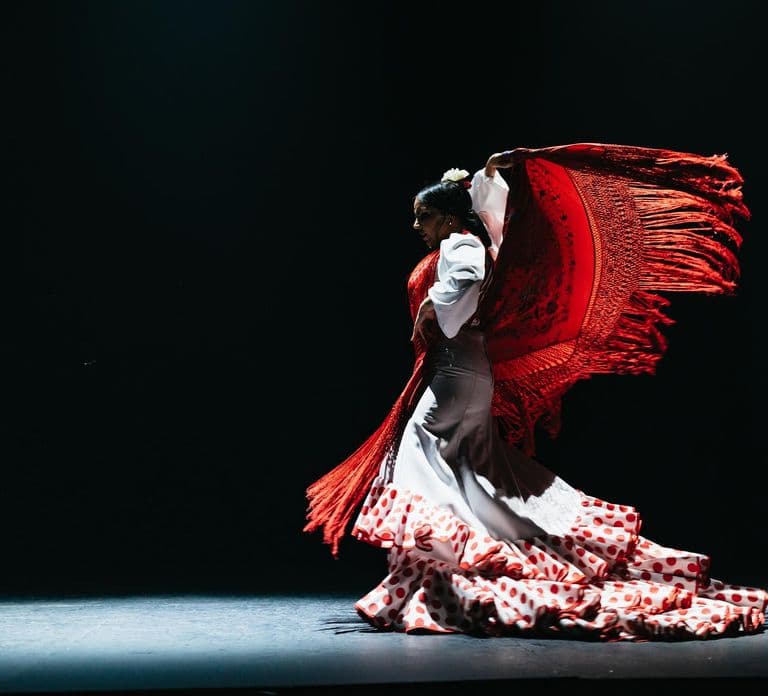 Seville: Live Flamenco Dancing Show Ticket at the Theater