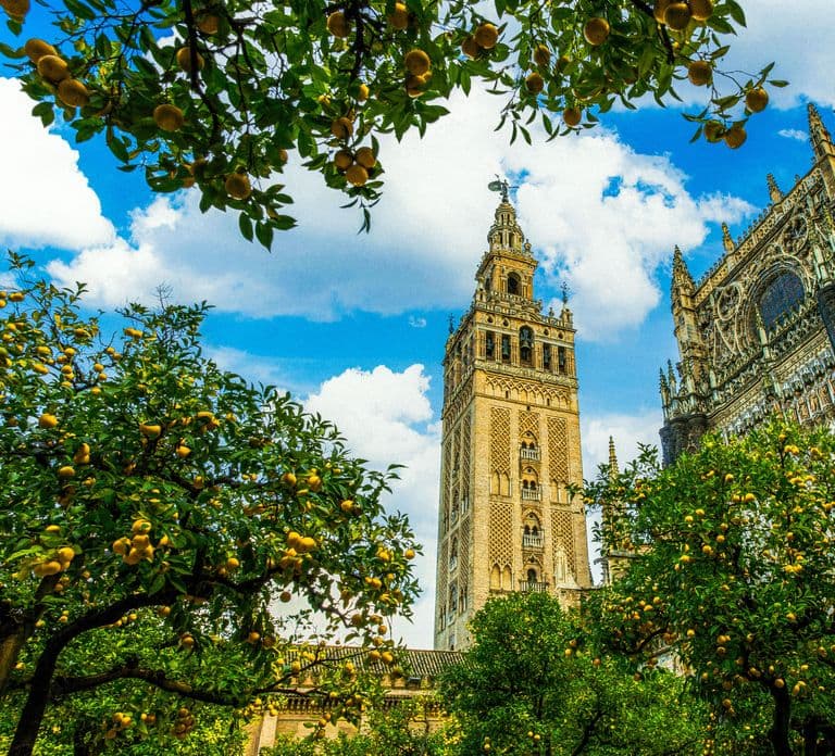 Seville: Priority Access Cathedral, Giralda & Alcázar Tour