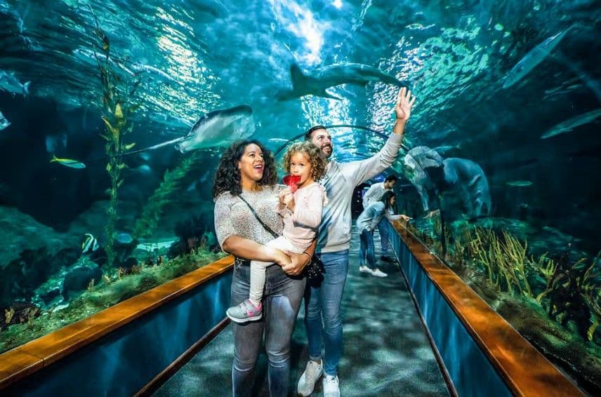 Tenerife: Ingresso para o Loro Parque