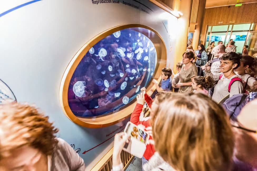 Valencia: Oceanogràfic Entry Ticket