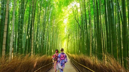 Nara Park + Arashiyama + Kinkaku-ji + Fushimi Inari Taisha one-day tour [includes meal] Day Tours
