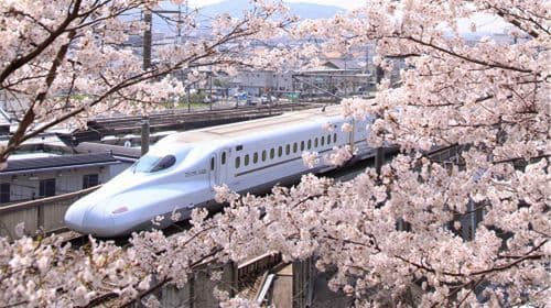 2025 Setouchi Triennale Full Season Passport + JR PASS Kansai Wide Area/Kansai & Hiroshima/Setouchi Area Pass/Okayama Enjoy Pass 교통 패스