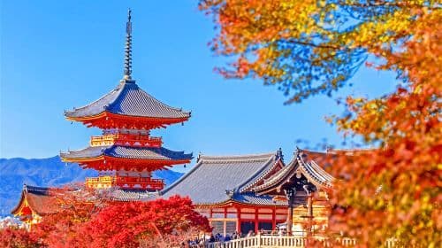Nara Park + Kyoto Ancient Temples + Fushimi Inari Taisha 1-day tour in Japan, feed cute deer, visit historic temples Day Tours