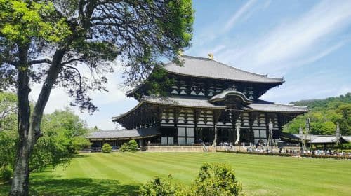 Nara Park + Kyoto Ancient Temples + Fushimi Inari Taisha 1-day tour in Japan, feed cute deer, visit historic temples Day Tours