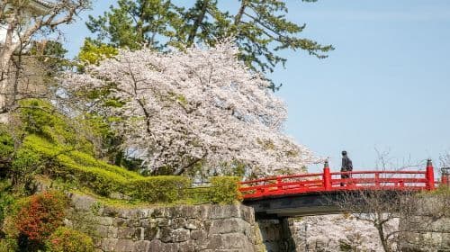 Odawara: Excursiones de un día con entrada al Tenshukaku del Castillo de Odawara