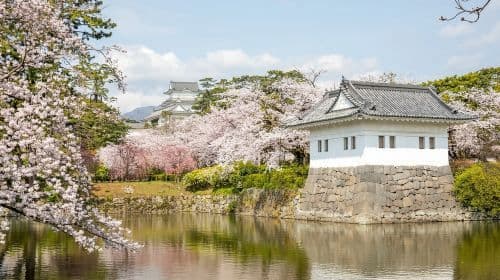 Odawara: Excursiones de un día con entrada al Tenshukaku del Castillo de Odawara