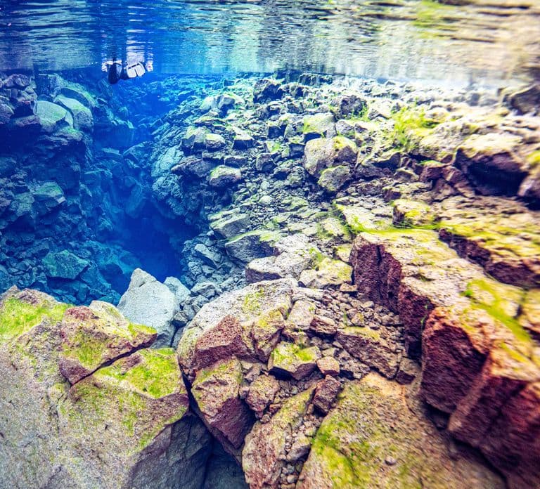 Silfra: Snorkel Between Continents. Free Professional Photos