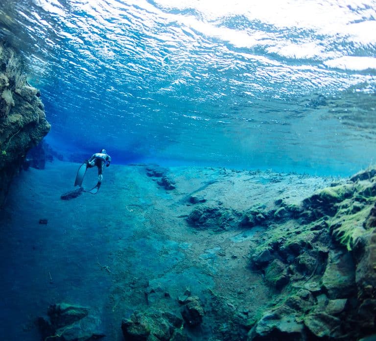 Thingvellir: Silfra Freedive Adevnture with a Guide