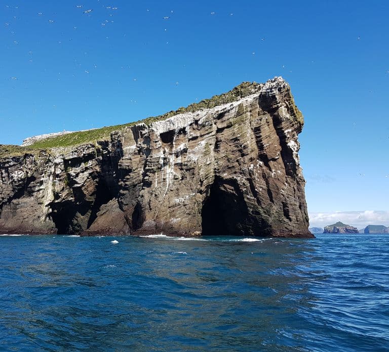 Vestmannaeyjar: 2 uur durende RIB-boottocht
