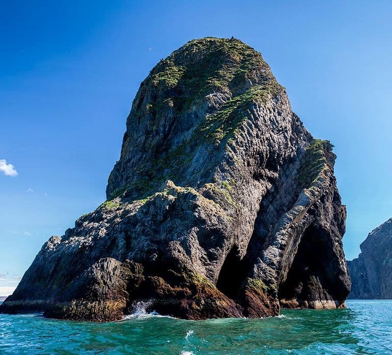 Vestmannaeyjar: One Hour Small Islands Trip