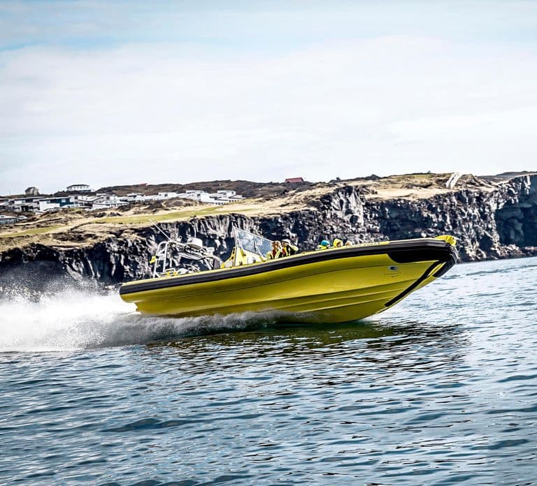 Vestmannaeyjar: One Hour Small Islands Trip