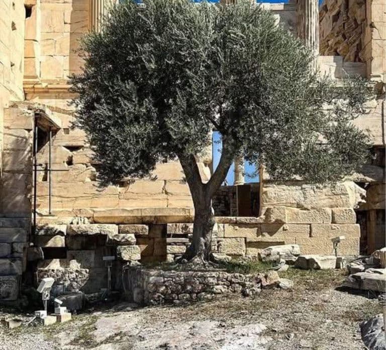 Athens Highlights & Astonishing Cape Sounion & Audio Tour