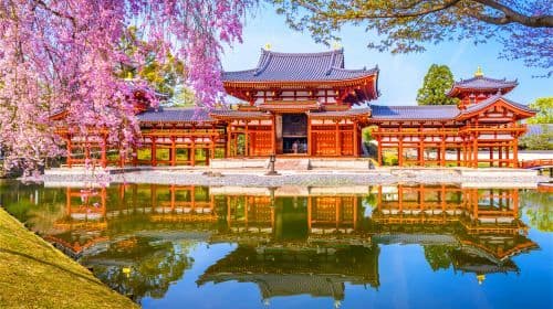 Vertrek vanuit Osaka [Lazy Line] Nara herten interactie + Tōdai-ji zegening + Uji matcha ervaring dagtochten