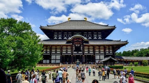 Partida de Osaka [Lazy Line] Interação com cervos em Nara + Bênção no Tōdai-ji + Experiência de matcha em Uji - Passeios de um dia