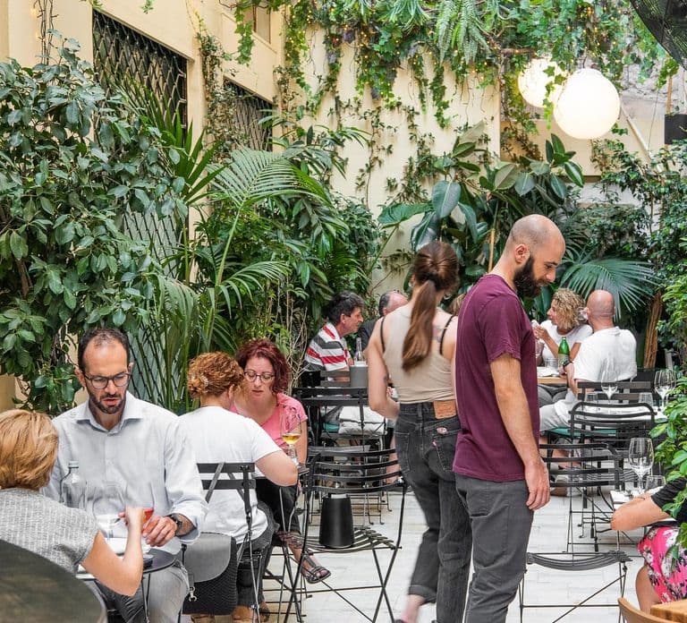 Wine and food pairing in Psyche Wine bar, near Syntagma