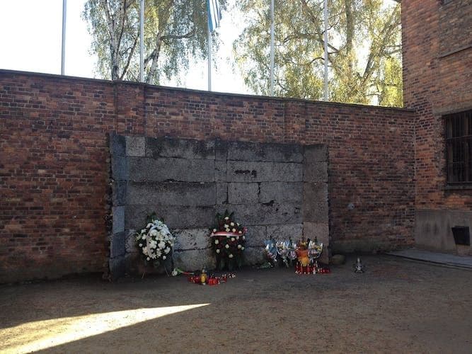 Auschwitz-Birkenau Museum and Memorial Guided Tour from Krakow
