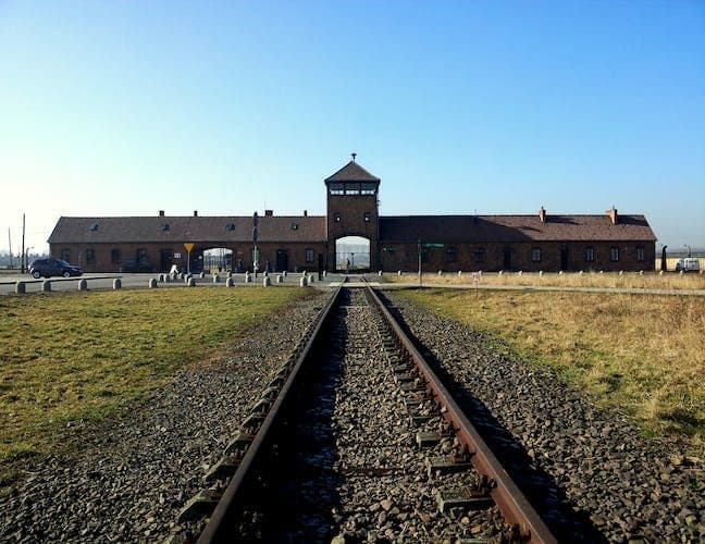 Auschwitz Birkenau and Wieliczka Salt Mine in One Day from Krakow