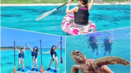 6 hours of diving and snorkeling experience in Miyako Island, Japan [[ADVENTURE PiPi Miyako Island] SUP/canoe & snorkeling experience]