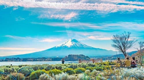 Herfsttour voor 9 personen vanuit Tokio: 1-daagse tour naar Mount Fuji met optionele Yamanakako Kaba Bus! Dagtochten