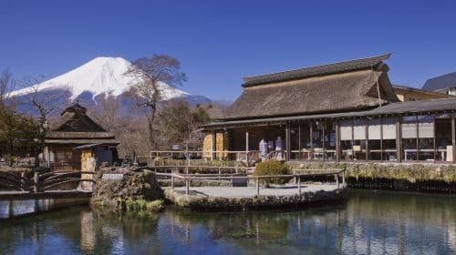 Herfsttour voor 9 personen vanuit Tokio: 1-daagse tour naar Mount Fuji met optionele Yamanakako Kaba Bus! Dagtochten