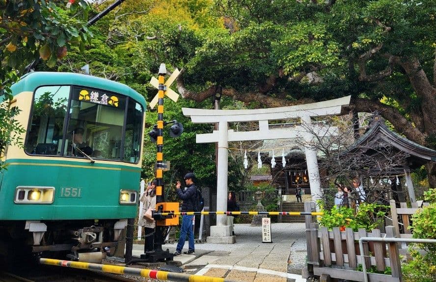 Un recorrido completo por los lugares de rodaje de los dramas coreanos de Netflix en Kamakura | Excursión de un día al Templo Gokurakuji, el Santuario Goryo y la isla de Enoshima