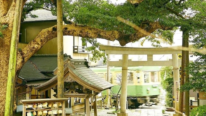 Un recorrido completo por los lugares de rodaje de los dramas coreanos de Netflix en Kamakura | Excursión de un día al Templo Gokurakuji, el Santuario Goryo y la isla de Enoshima