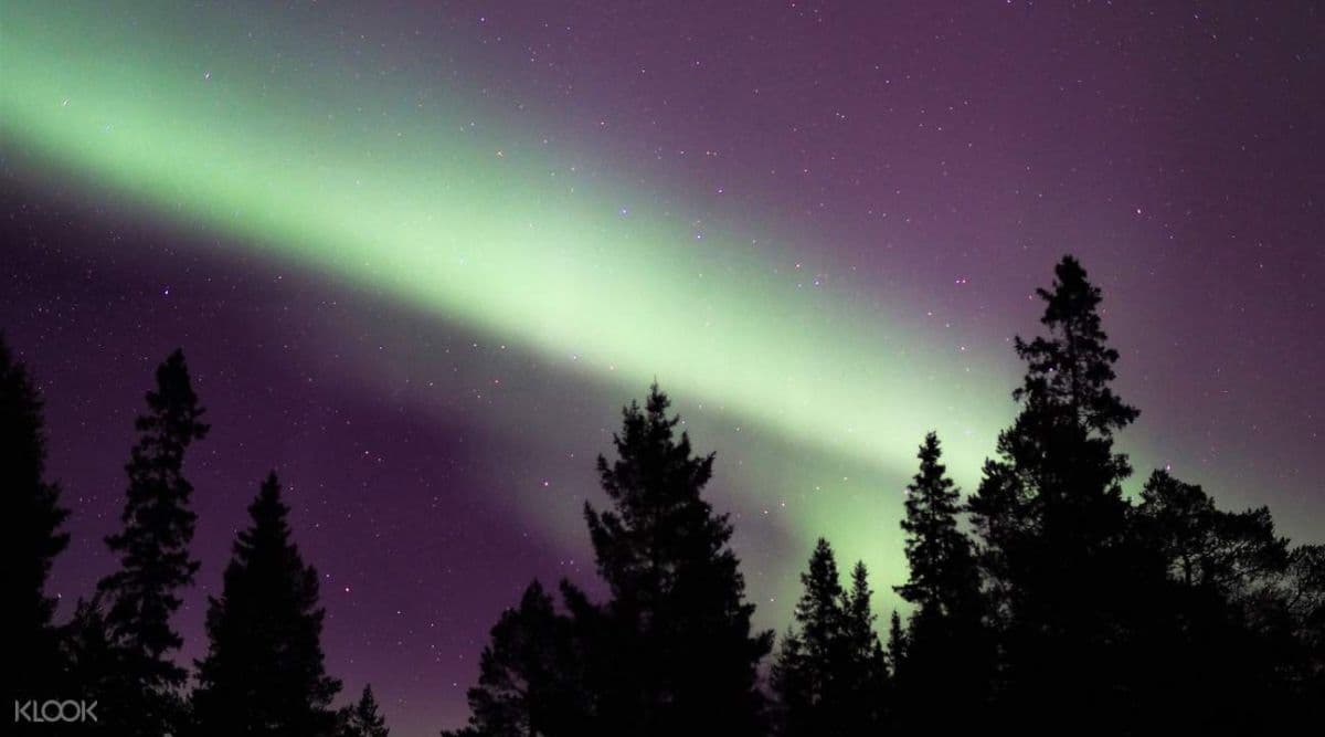 Northern Lights Snowshoe Experience in Lulea