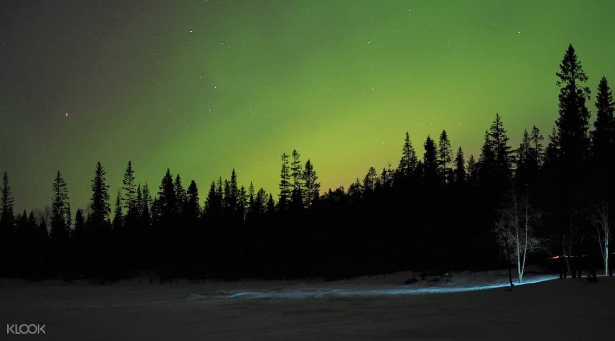 Northern Lights Snowshoe Experience in Lulea