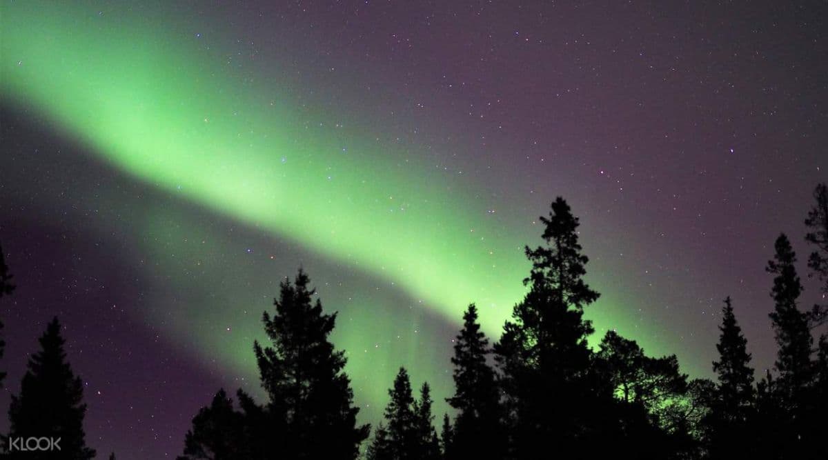 Northern Lights Tour in Lulea