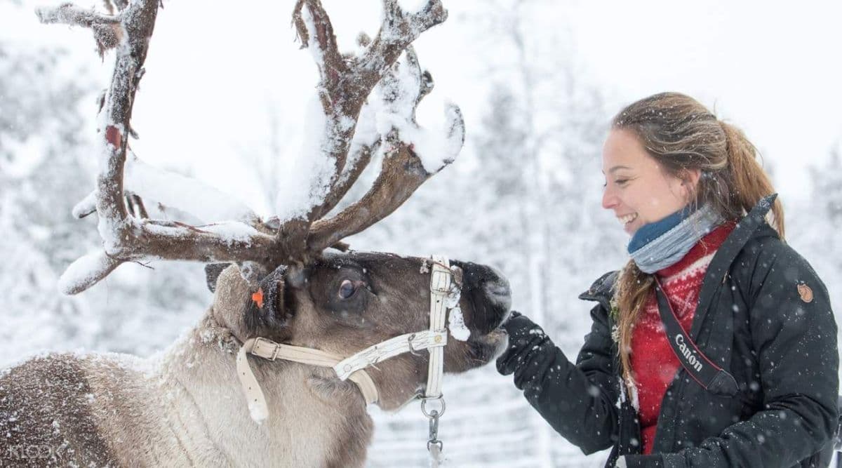 Sami Village Half Day Tour from Abisko or Björkliden