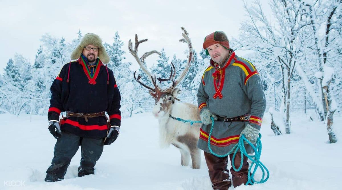 Sami Village Half Day Tour from Abisko or Björkliden