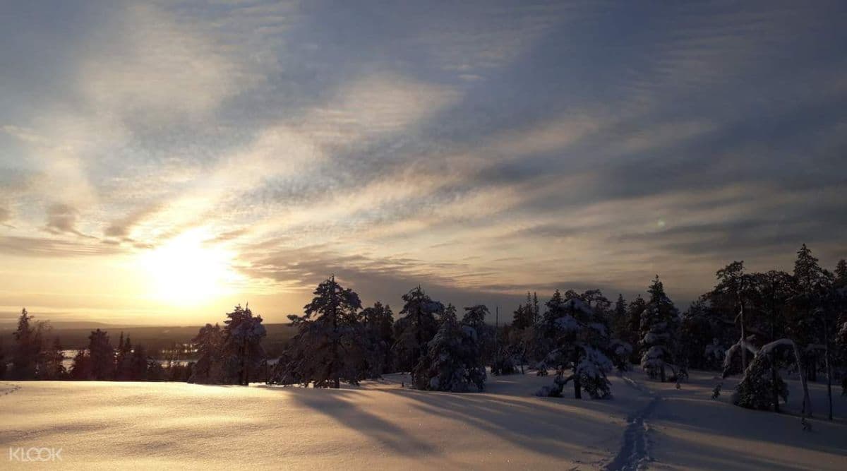 Snowshoeing Experience in Lulea
