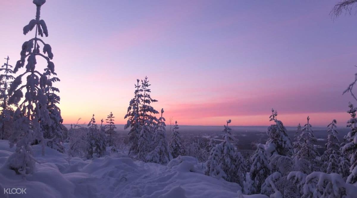 Snowshoeing Experience in Lulea