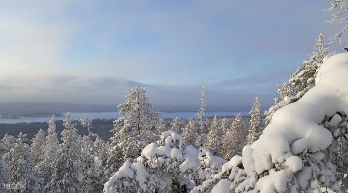 Experiência de Caminhada na Neve em Lulea