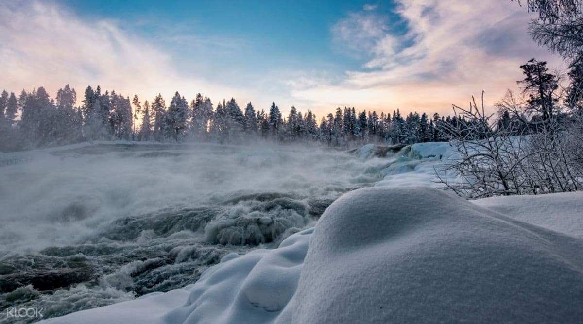 Excursión a la Reserva Natural de Storforsen desde Lulea