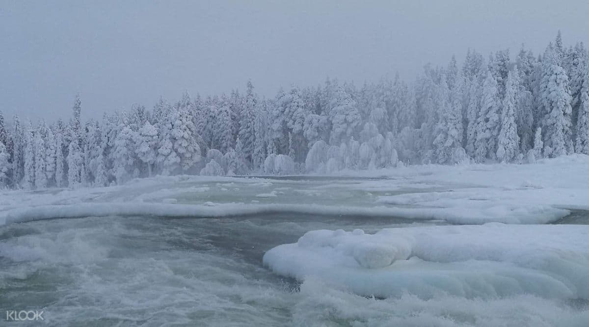 Excursión a la Reserva Natural de Storforsen desde Lulea