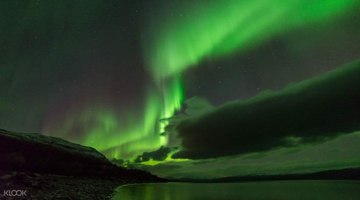 The Great Aurora Chase 4 Hour Evening Tour from Abisko or Björkliden