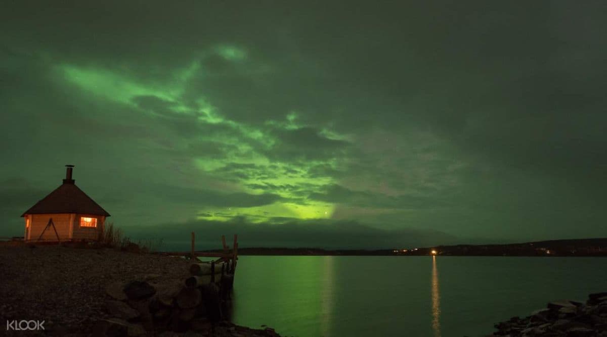 The Great Aurora Chase 4 Hour Evening Tour from Abisko or Björkliden