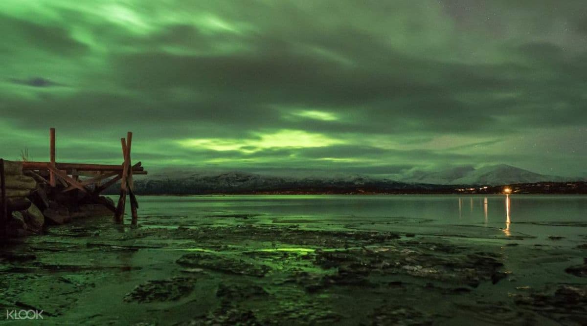 The Great Aurora Chase 4 Hour Evening Tour from Abisko or Björkliden