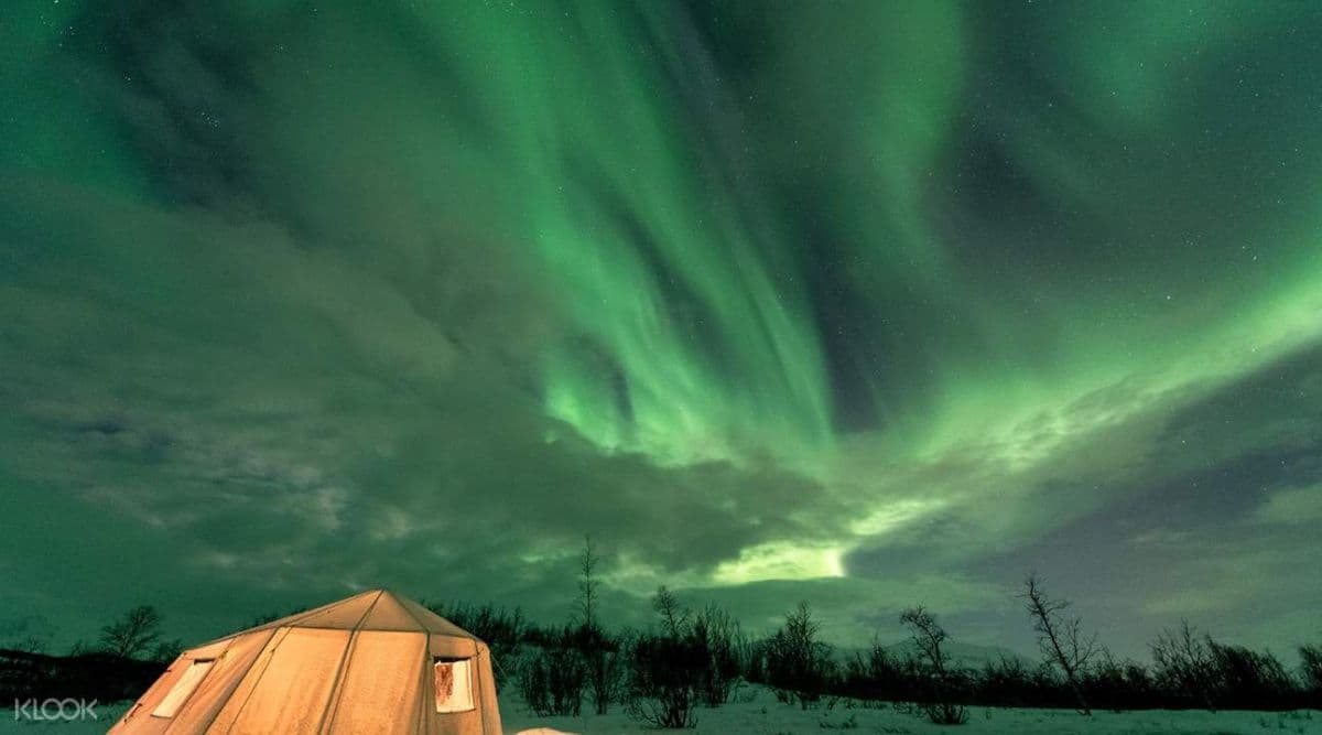 Wilderness Aurora Photo Adventure Tour