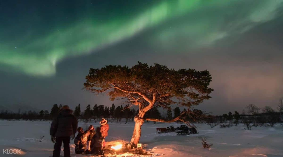 Wilderness Aurora Photo Adventure Tour