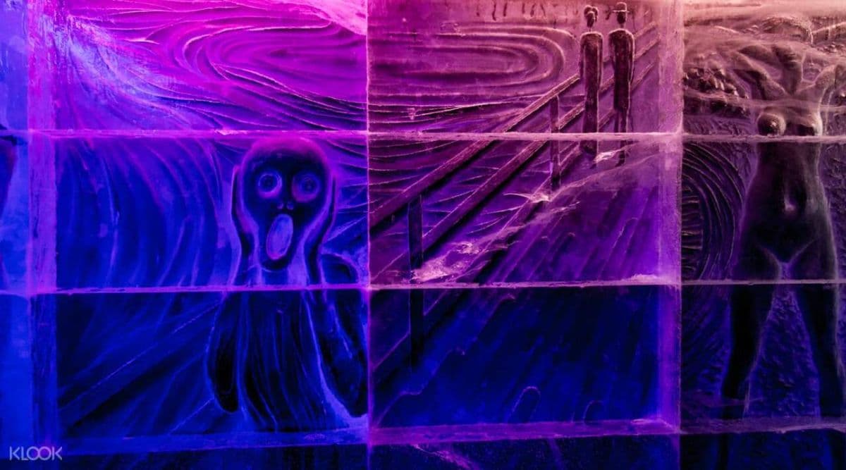 Magic Ice Bergen Admission Ticket