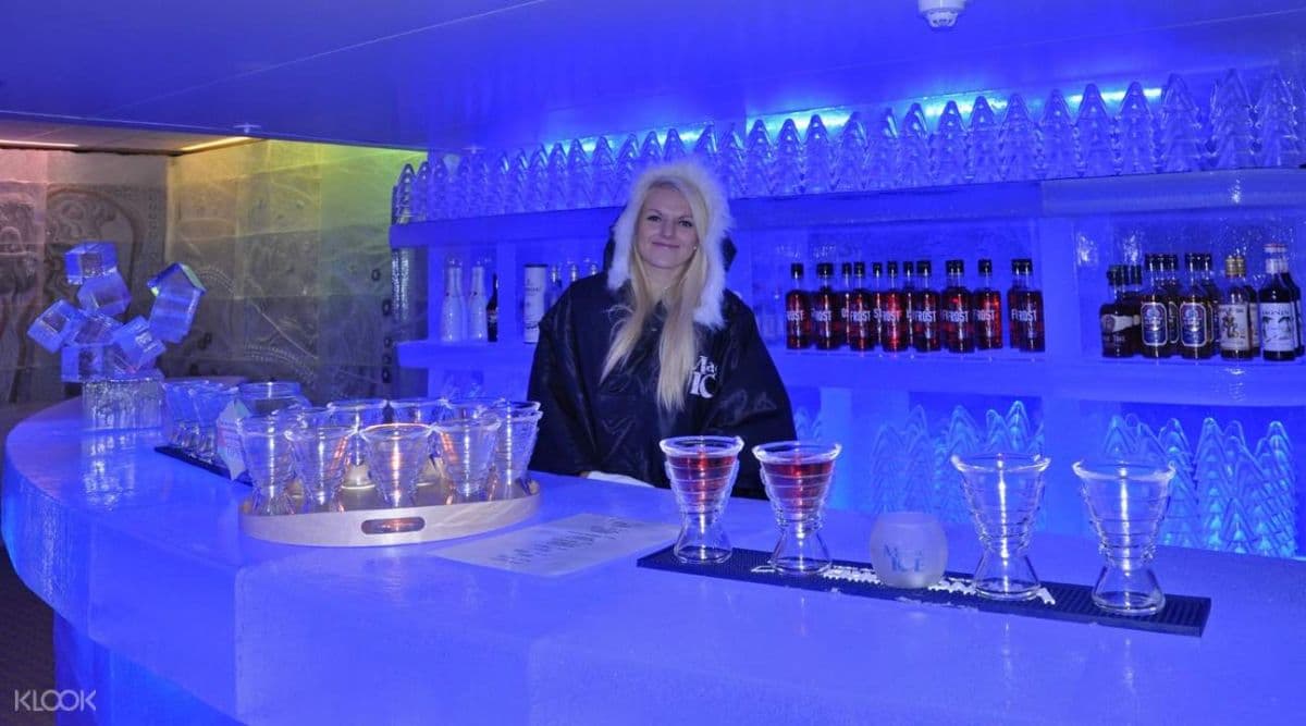 Magic Ice Bergen Admission Ticket